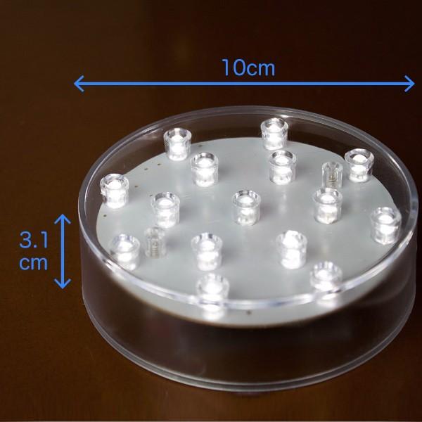 【B品】光る ドンペリ LED スタンド ディスプレイ DULTON ONLINE SHOP | LED WINE GLASS BULB B(WINE GLASS (B)): 家具