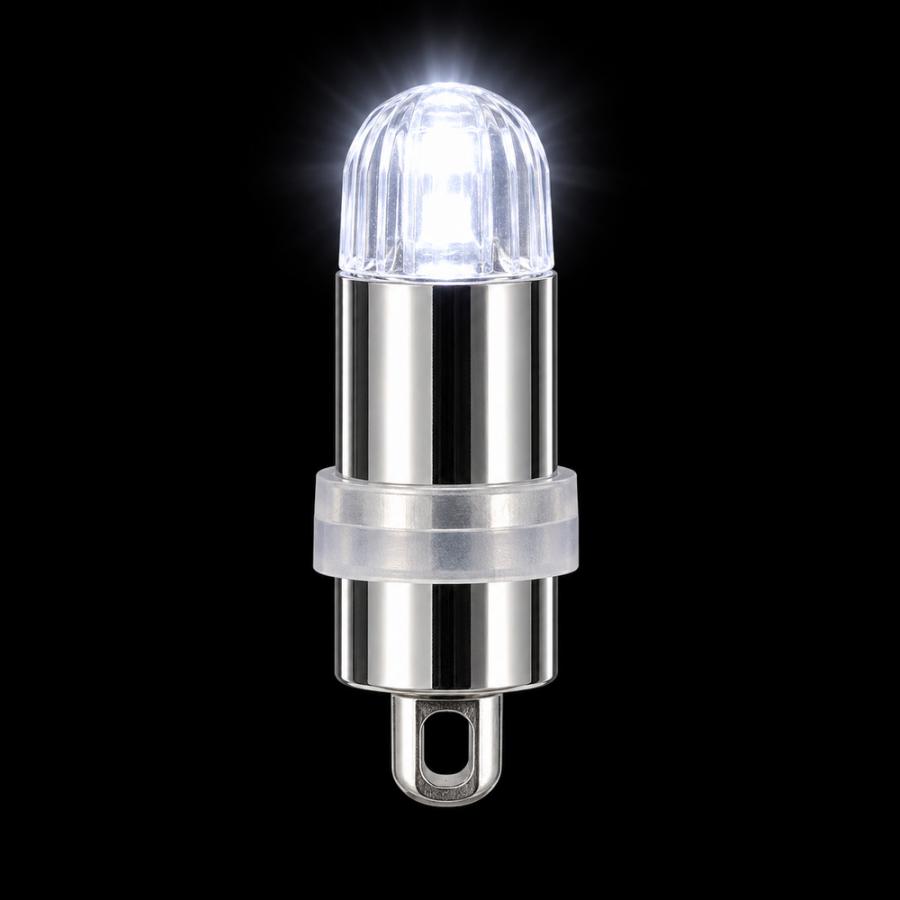 DENKO HOME（電光ホーム） ミニLEDライト 10色 電池交換式 LR41×3個