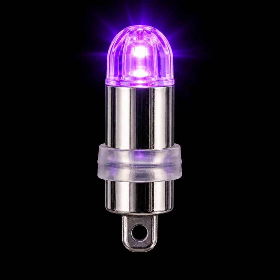 DENKO HOME（電光ホーム） ミニLEDライト 10色 電池交換式 LR41×3個