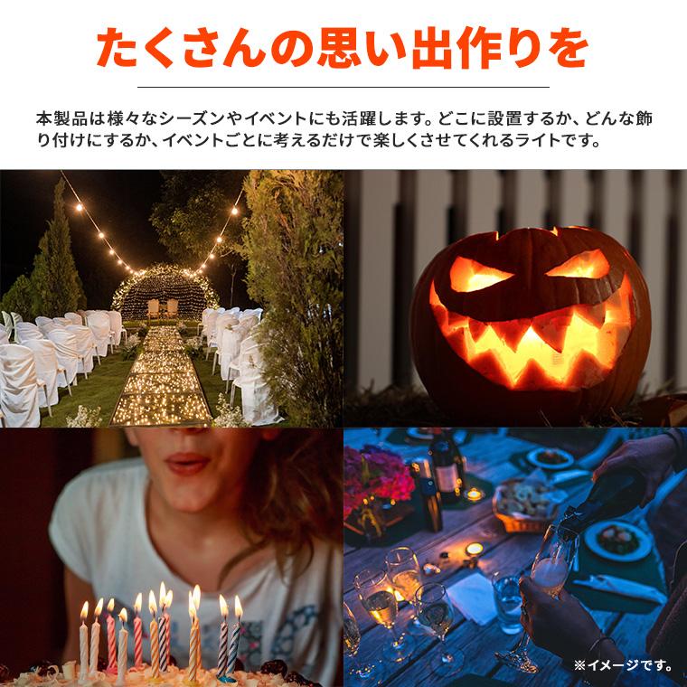 DENKO HOME（電光ホーム） イルミネーション 屋外用 モチーフライト 雪