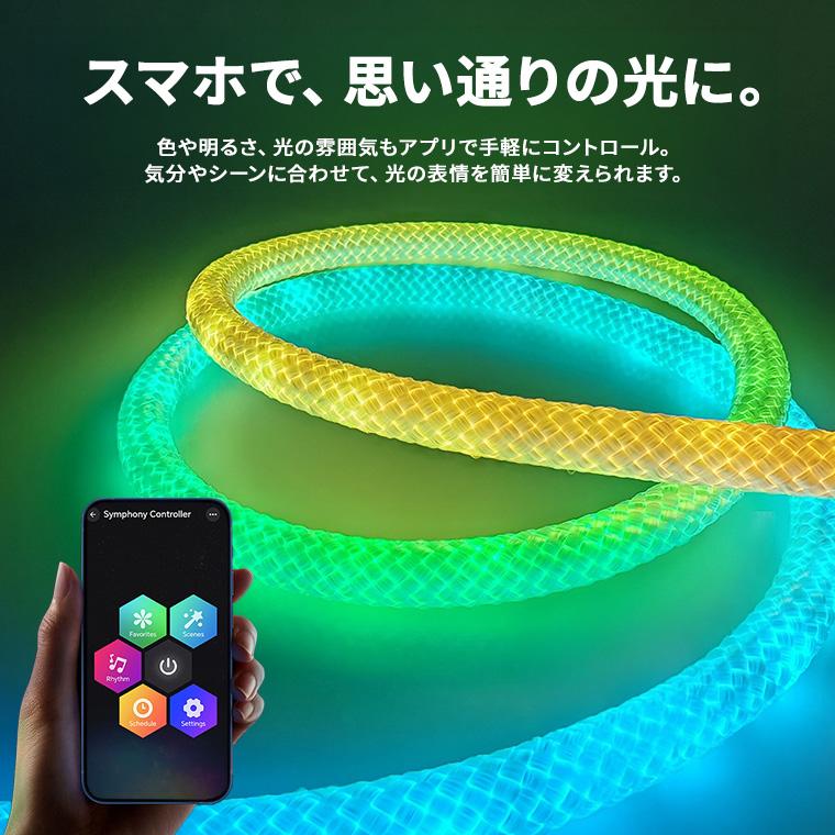 DENKO HOME（電光ホーム） LEDネオンロープライト 5m 編み込みロープ