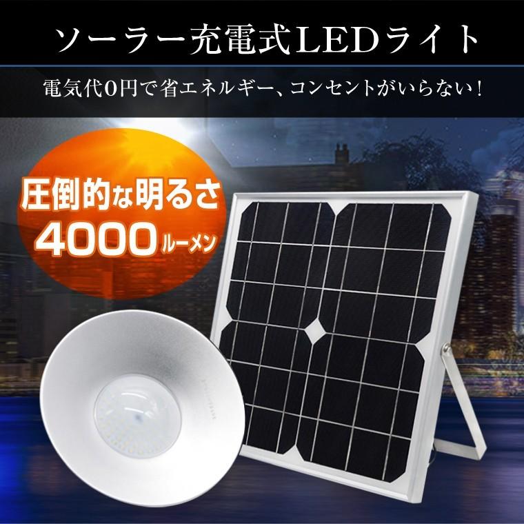DENKO HOME（電光ホーム） ソーラーライト 屋外 80LED 明るい 壁掛け