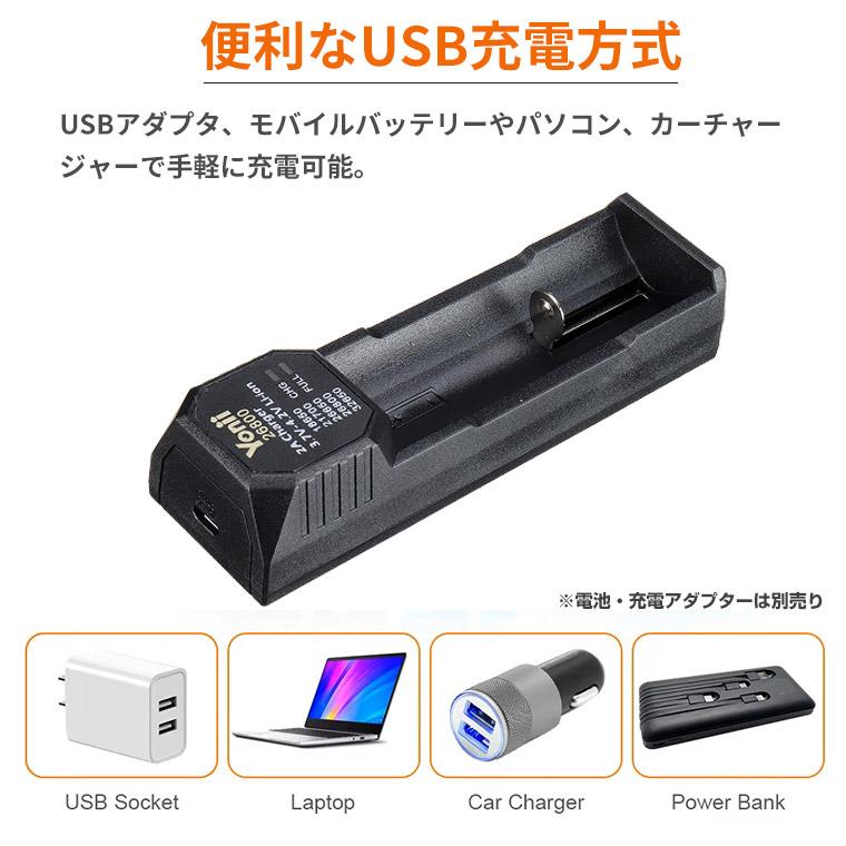 リチウム電池 充電器 リチウムバッテリー充電器 USB 18650 21700 26650