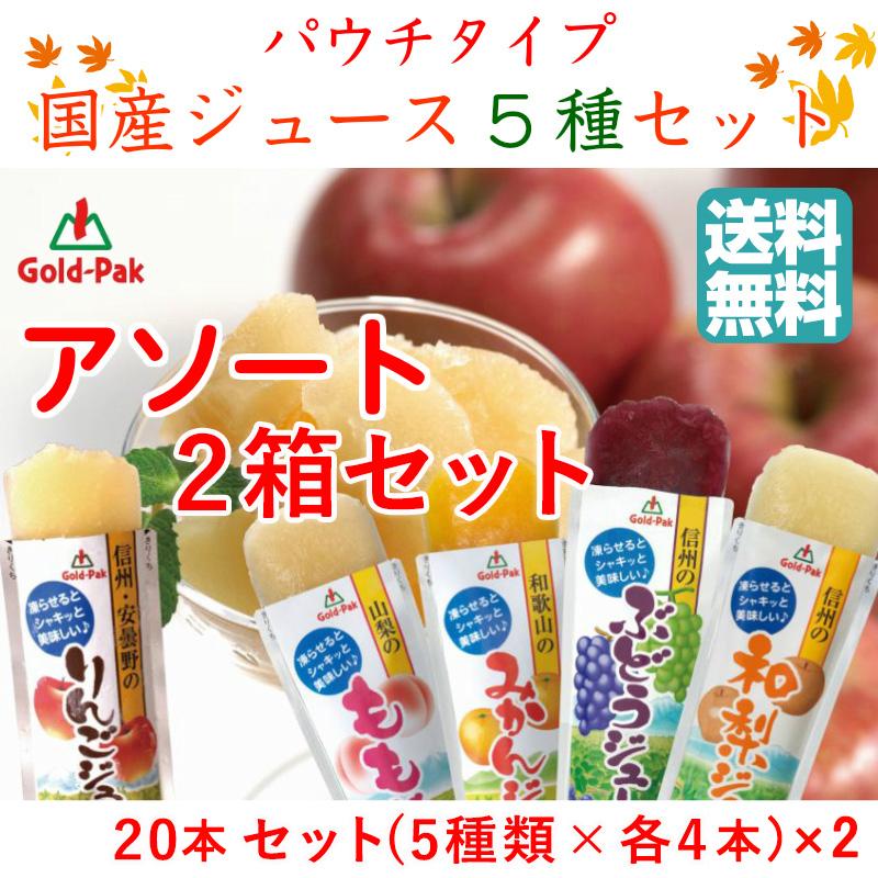 ゴールドパック 国産素材 凍らせてシャーベット 5種アソート 2箱