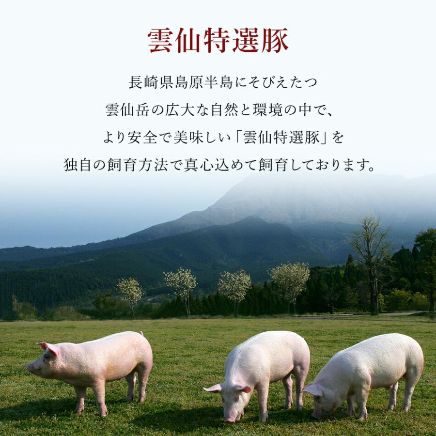 鹿児島黒豚荒挽きウインナー 553697 用途から探す ギフト・贈り物はセブン-イレブン ネットギフト