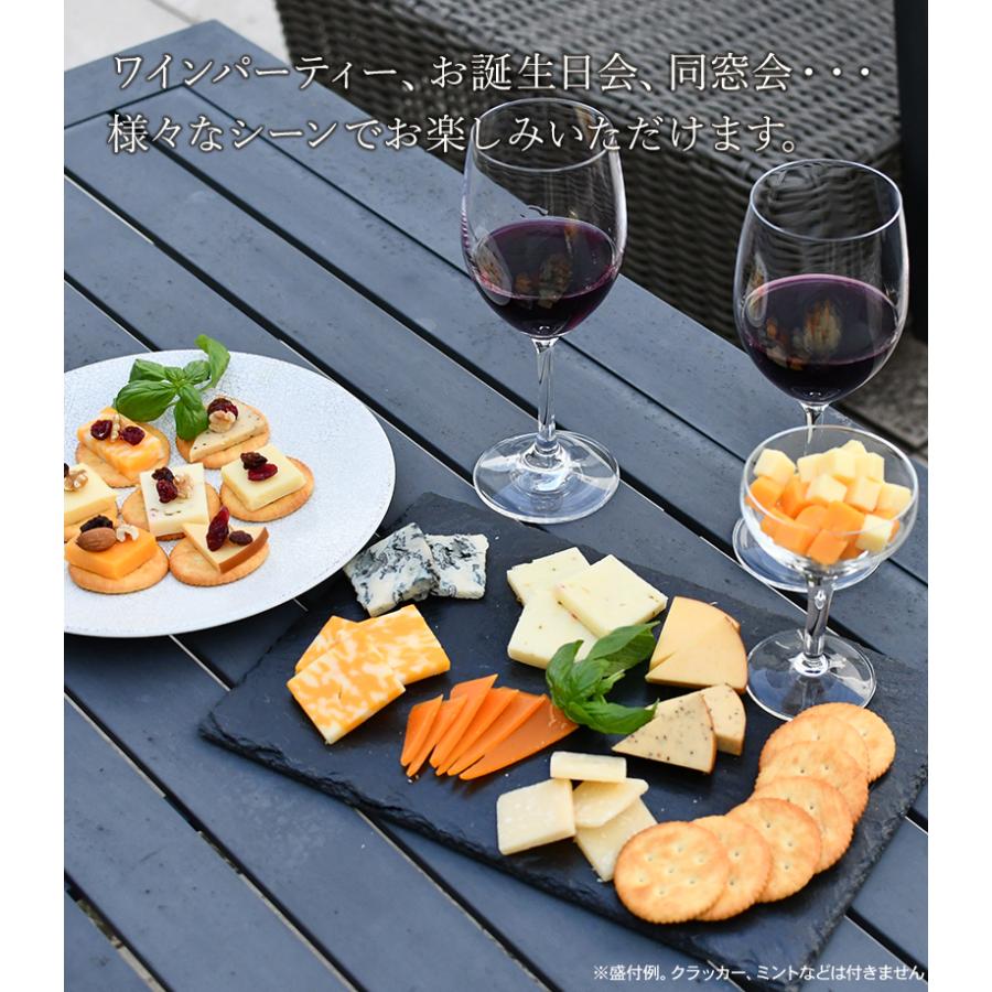 【新品未使用】リゼレネート専用チップ9個 高見澤 LactyLife 冷蔵 ガスパック包装 デリシャスチーズセレクション