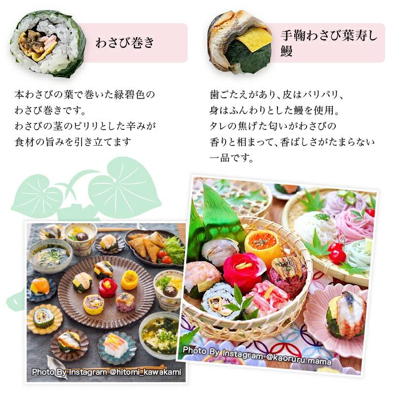 【奈良 梅守本店】 うるわし手鞠わさび葉寿し 15ヶ入り 冷凍 1〜2人前 10種 レンジで簡単調理 寿司 てまり寿し 鮨 岡山あさひ米使用 お取り寄せグルメ バレンタインデー ホワイトデー 母の日 父の日 女子会 誕生日 敬老の日 ギフト プレゼント 送料無料 産地直送 うめもり うるわし手鞠わさび葉寿し 15個入 〔寿司10種計15個〕 寿司 惣菜 奈良 わさび葉寿司 うめもり ｜ 産直お取り寄せＮセレクト
