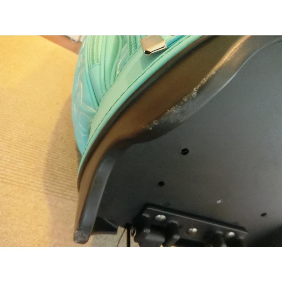激レア ロッディオ プレミアムモデル スタンド式 キャディバッグ 激レア ロッディオ プレミアムモデル スタンド式 キャディバッグ