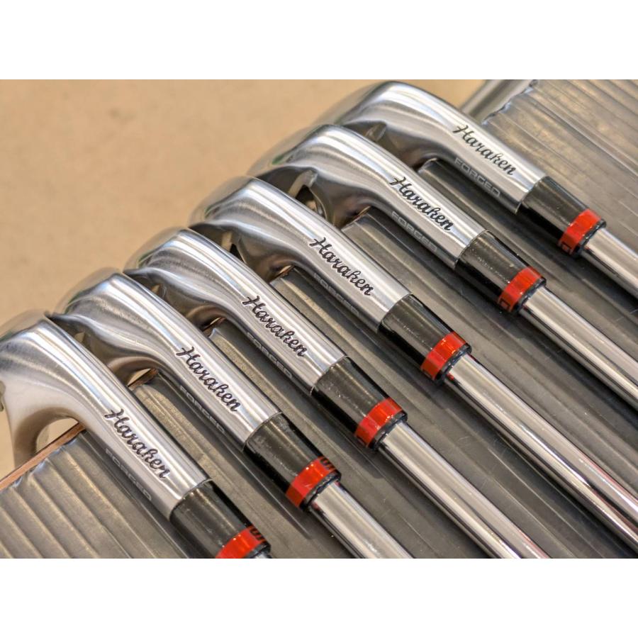 DOCUS REVOLUTION アイアン #6-P.G 5本セット/Dynamic Gold 95/S200