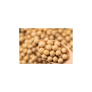 大豆からできた手と環境に優しい洗剤「SOY CleaNeR」1000ml 人にも環境にも優しい洗浄成分100％植物性の万能洗剤 | ブランド登録なし | 05