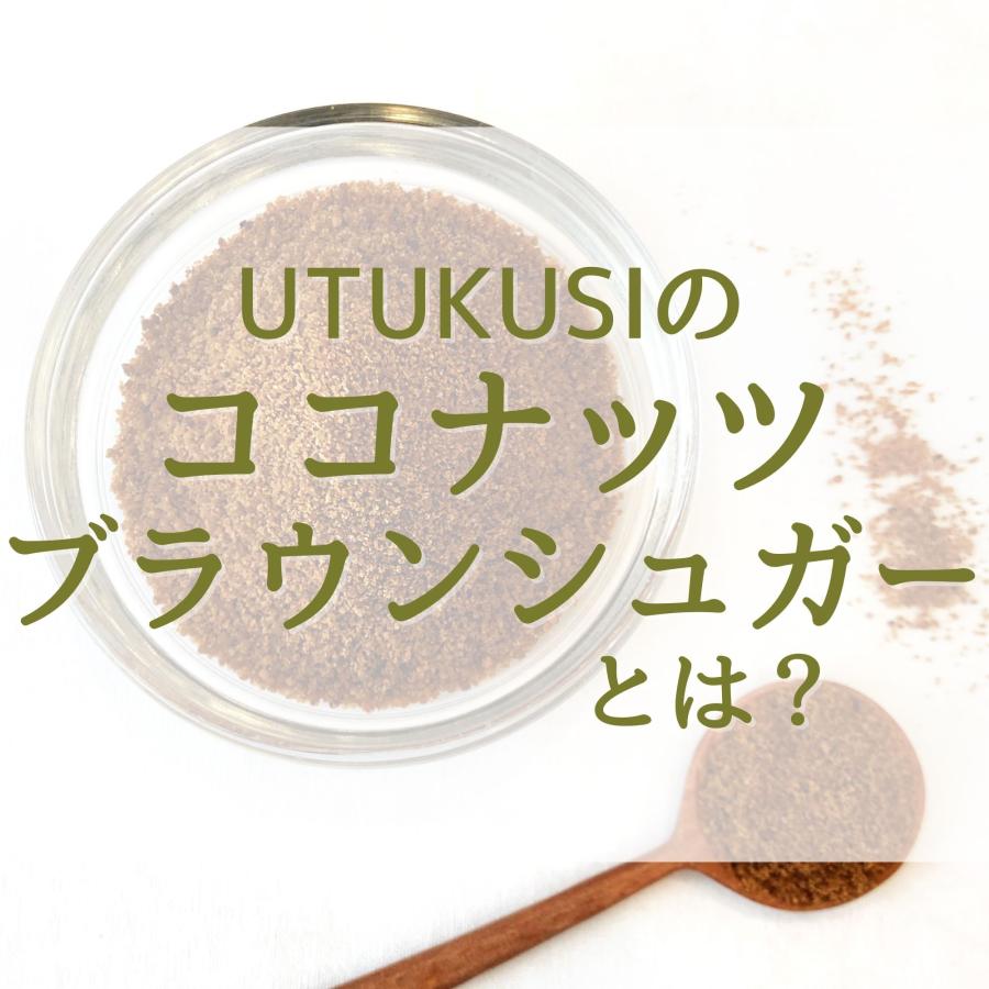 ココナッツブラウンシュガー 有機 1kg 大容量 業務用 オーガニック 低GI 天然甘味料 無添加 無漂白 ミネラル 送料込 UTUKUSI | ブランド登録なし | 05