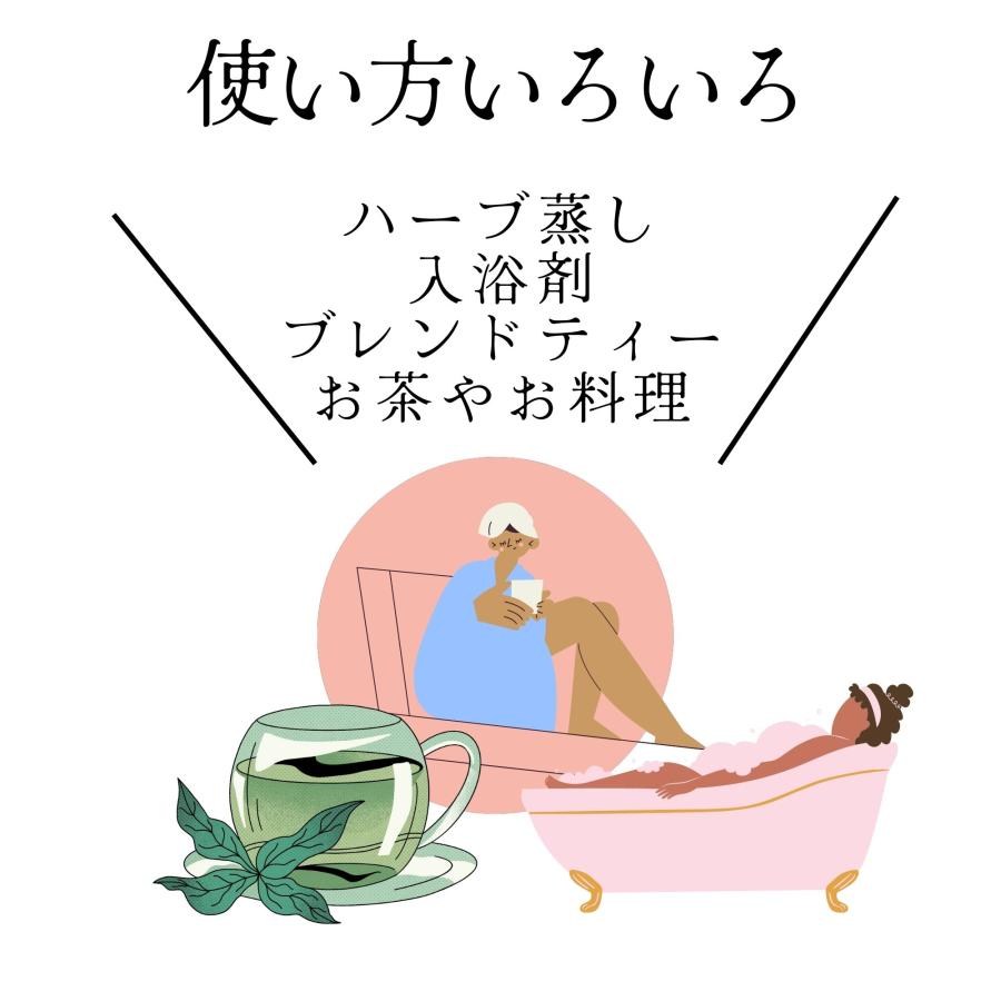 有機モリンガチップ500g【業務用】100％葉のみ 無農薬 サロン  自宅 業務用 卸 入浴剤 よも ぎ蒸し 温活 妊活 デトックス  ハーブ蒸しの画像