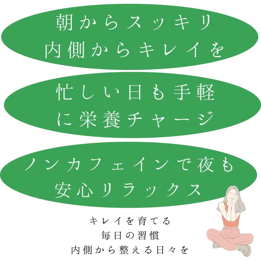 モリンガ茶 有機 パウダースティック 6日分 個包装 無農薬 無添加 ノンカフェイン 健康茶 食物繊維 腸活 国内加工 送料無料 UTUKUSI | ブランド登録なし | 04