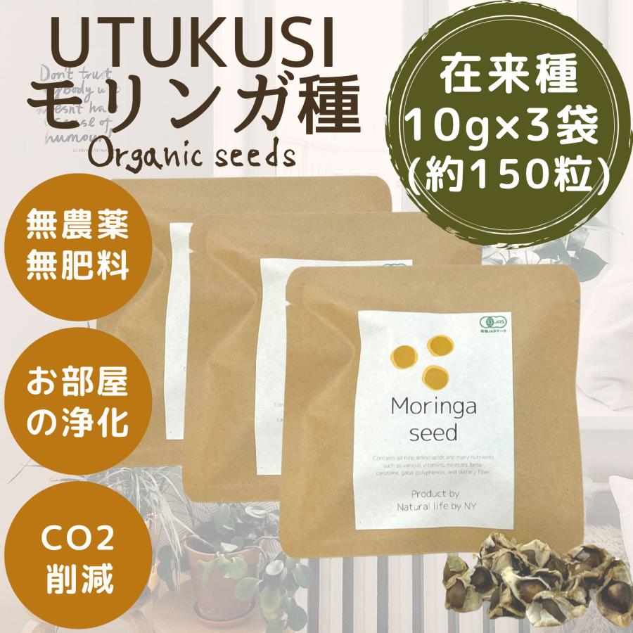 モリンガ 種　10g×3袋　約150粒　在来種　無農薬　無肥料　ハーブ　浄化　苗　フィリピン産　栽培用　観賞用　二酸化炭素の吸収　野菜　UTUKUSI うつくし | 