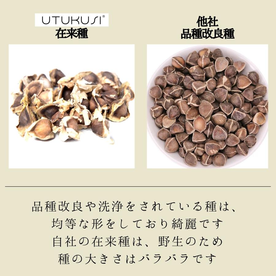 モリンガ 種　10g×3袋　約150粒　在来種　無農薬　無肥料　ハーブ　浄化　苗　フィリピン産　栽培用　観賞用　二酸化炭素の吸収　野菜　UTUKUSI うつくし |  | 06