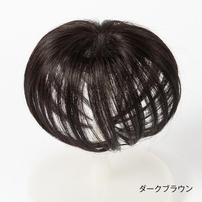銀座サロン KAZUEウィッグ ラウンドポイントウィッグ - ダークブラウン