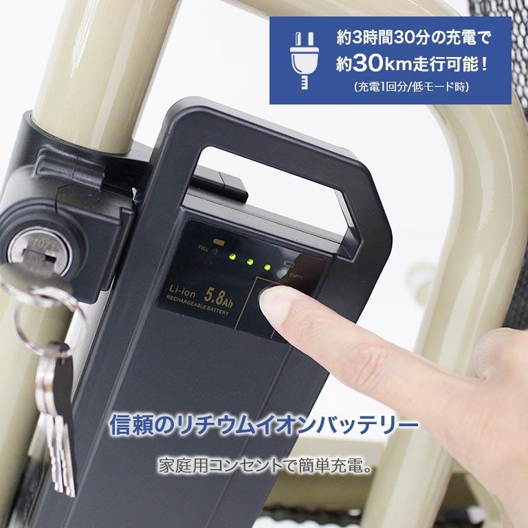 直送】ノーパンク 電動 アシスト 三輪自転車 ACTIVEPLUS アクティブ
