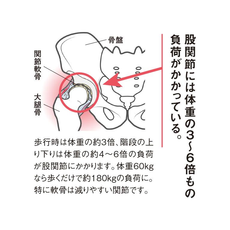 理学療法士が考えた 股関節スパッツ 3枚組 - 股関節 サポート はくだけ