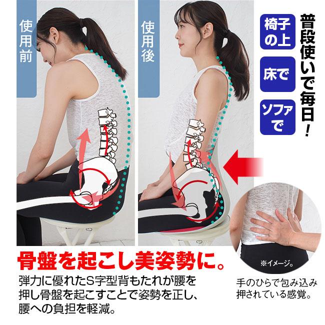 【引取先決定】姿勢矯正椅子 楽天市場】サポートチェア スワンル ボーテ 姿勢矯正 椅子 クッション
