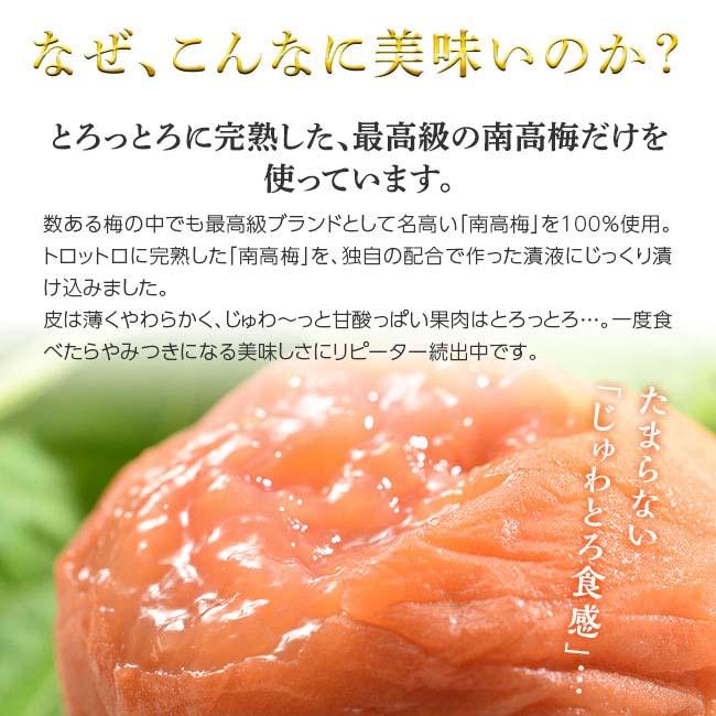 紀州南高梅 完熟つぶれ梅 2kgセット - 1パック500g 4パック ワケ