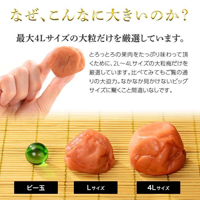 紀州南高梅 完熟つぶれ梅 2kgセット - 1パック500g 4パック ワケ
