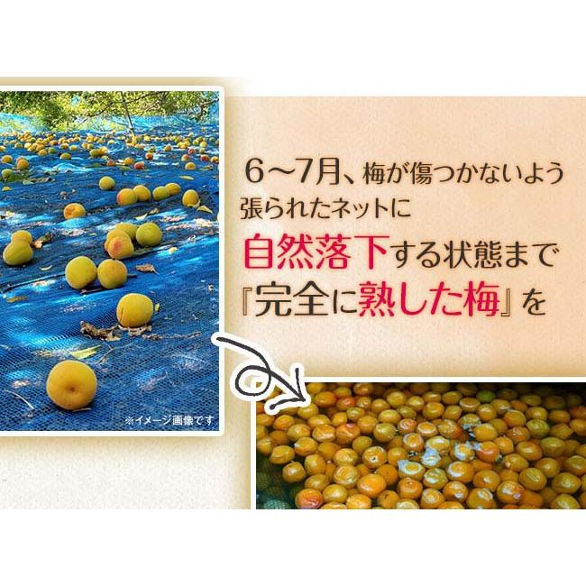 紀州南高梅 完熟つぶれ梅 2kgセット - 1パック500g 4パック ワケ