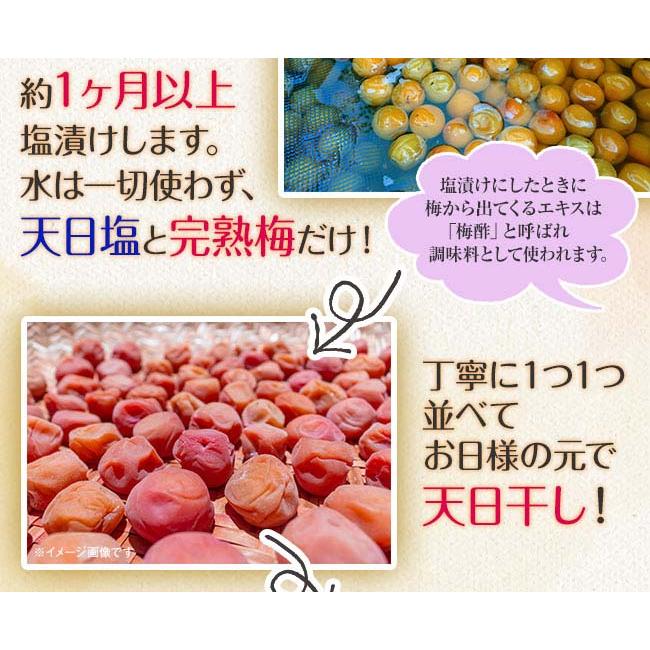 紀州南高梅 完熟つぶれ梅 1.5kgセット - 1パック500g 3パック ワケあり
