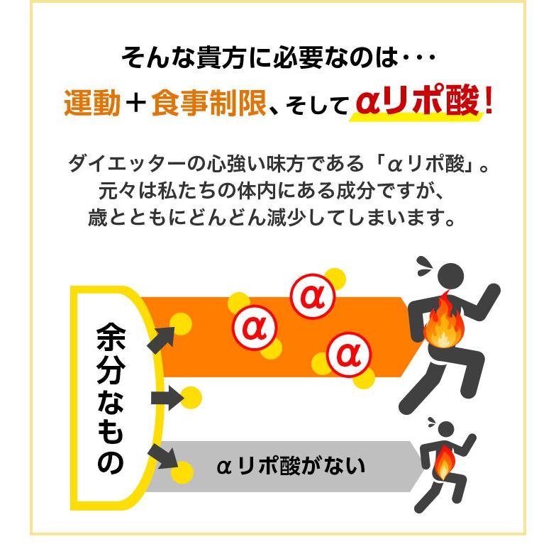 R型アルファリポ酸新配合 ハイパースリムアルファ プレミアム マックス 4本（1本120粒2カ月分 ） - ダイエット シェイプアップ サプリ 日本直販 サプリメント |  | 06