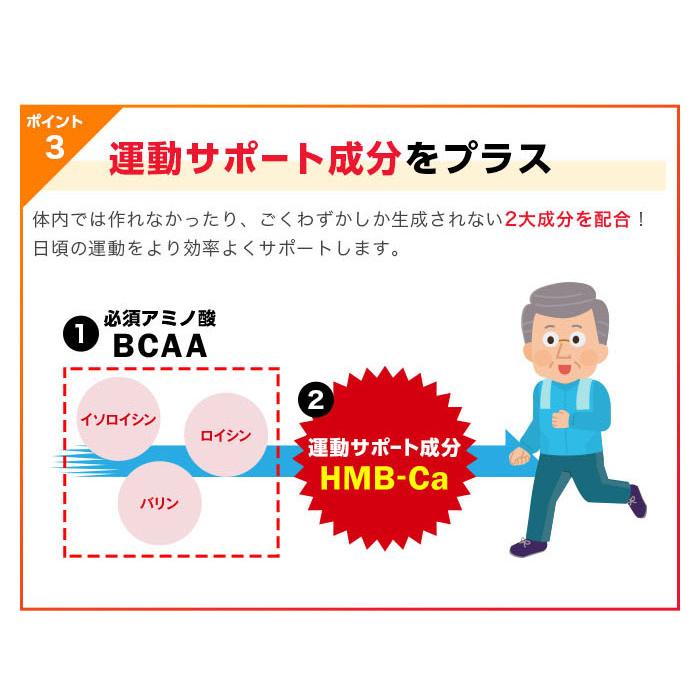 R型アルファリポ酸新配合 ハイパースリムアルファ プレミアム マックス 4本（1本120粒2カ月分 ） - ダイエット シェイプアップ サプリ 日本直販 サプリメント |  | 09