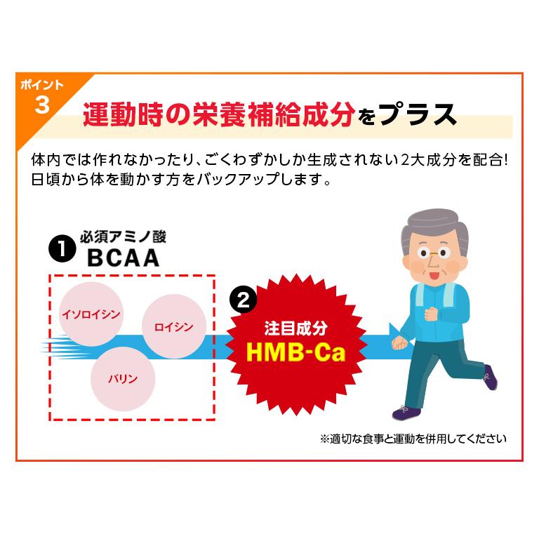 R型アルファリポ酸新配合 ハイパースリムアルファ プレミアム マックス 4本 1本120粒2カ月分 αリポ酸 BCAA HMB-Ca ビタミンB1 サプリ 日本直販 サプリメント |  | 07