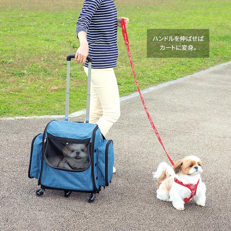 GOKIGEN！キャリーわんにゃん