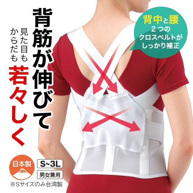 NEW 背筋補正ベルト LL・3L 1枚 - 背筋ベルト 猫背 背筋 背中 腰