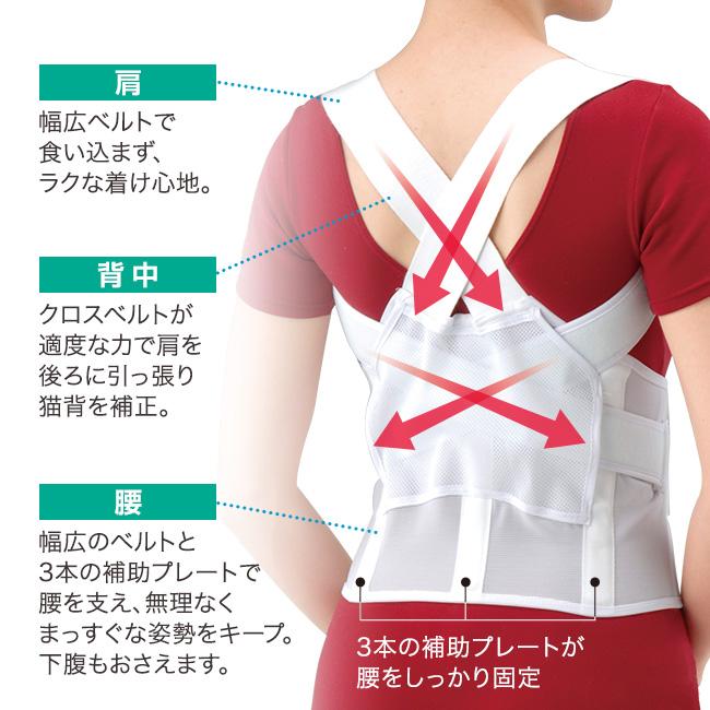 Kaneko Stretch S Lightex 猫背矯正ベルト LL~3L ブ NEW 背筋補正ベルト LL・3L 1枚 - 背筋ベルト 猫背 背筋 背中 腰