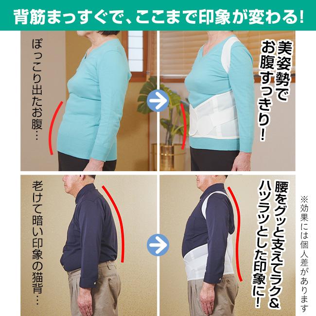 NEW 背筋補正ベルト LL・3L 1枚 - 背筋ベルト 猫背 背筋 背中 腰 サポーター ベルト 姿勢ベルト 背筋ベルト メッシュ メンズ レディース