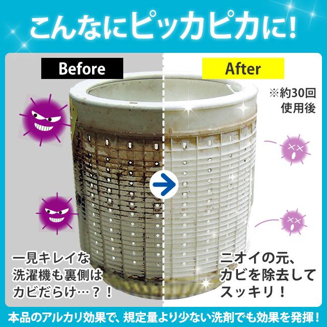 洗濯槽クリーナー 洗濯槽快 セット (クリーナー×12包、ネット×2枚) - 洗濯槽 洗剤 天然 クリーナー 洗濯機 掃除 カビ 菌 除菌 消臭 予防 対策 防止 洗濯爽快