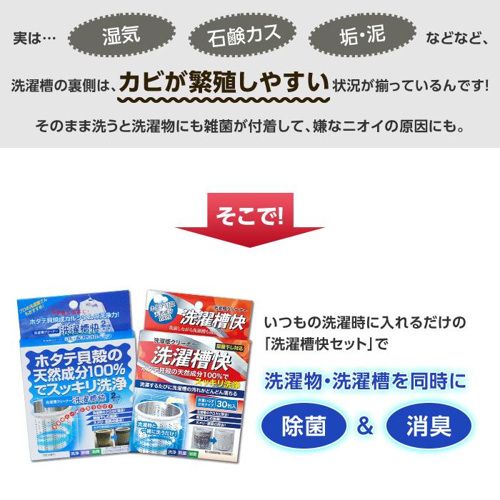 洗濯槽クリーナー 洗濯槽快 セット (クリーナー×12包、ネット×2枚) - 洗濯槽 洗剤 天然 クリーナー 洗濯機 掃除 カビ 菌 除菌 消臭 予防 対策 防止 洗濯爽快