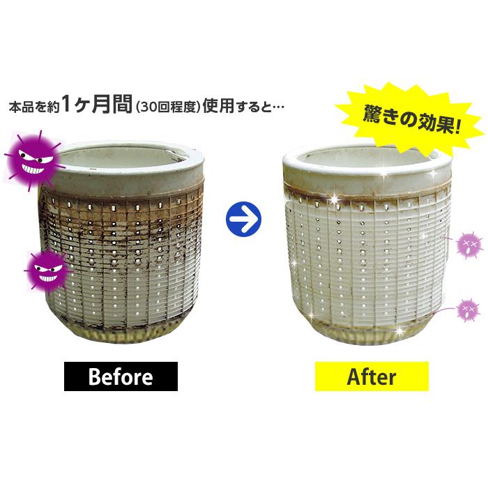 洗濯槽クリーナー 洗濯槽快 セット (クリーナー×12包、ネット×2枚) - 洗濯槽 洗剤 天然 クリーナー 洗濯機 掃除 カビ 菌 除菌 消臭 予防 対策 防止 洗濯爽快
