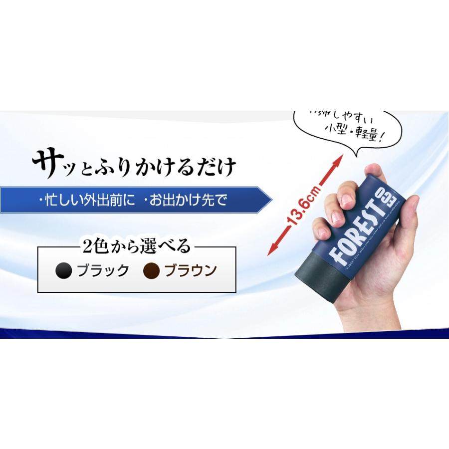 フォレスト エコ - ふりかけるだけ パウダー 増毛 毛髪 ボリューム