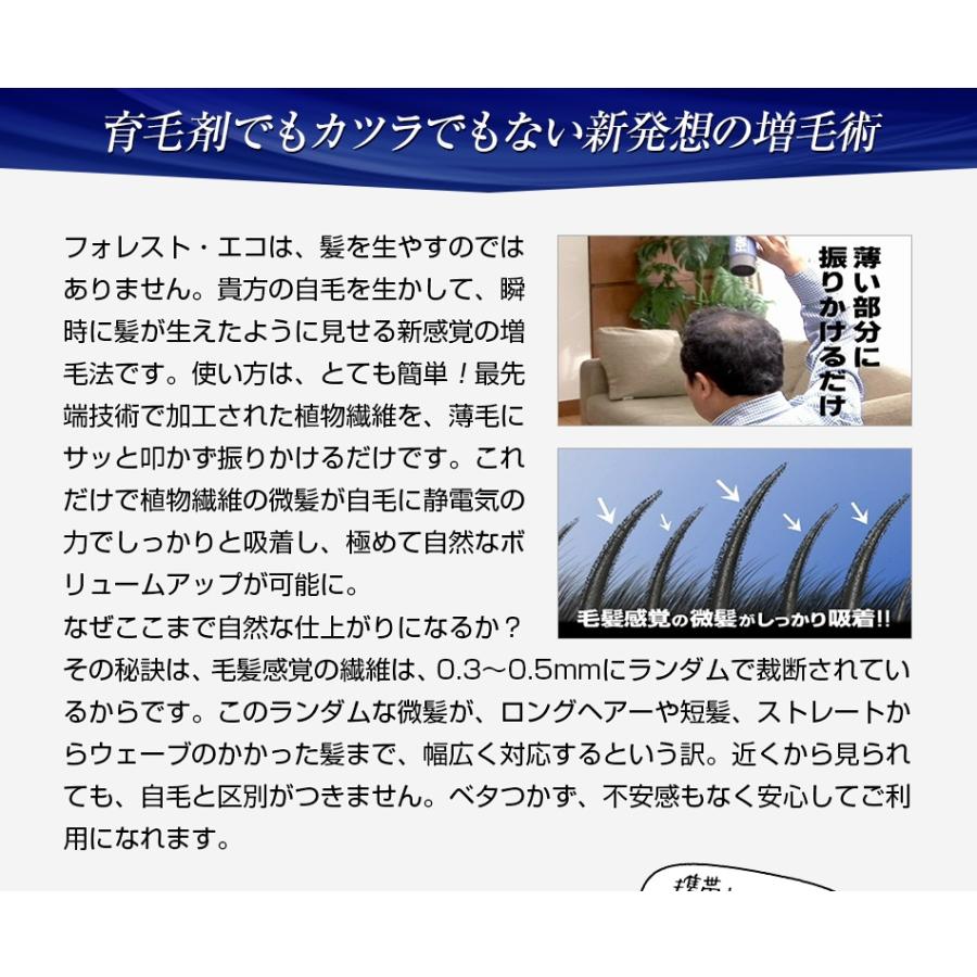 フォレスト エコ 2本組 - ふりかけるだけ ボリューム 髪型 増毛 毛髪