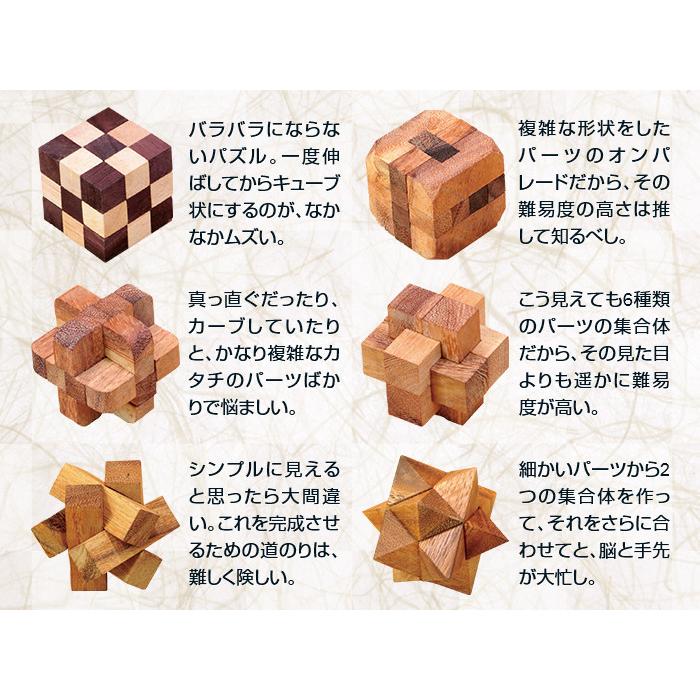 ロックスモーション ウッドパズルセット - 天然 木製 パズル 知恵の輪