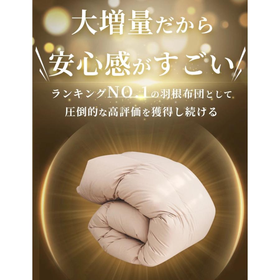 掛け布団 ダブル 羽布団 冬用 羽根布団 羽毛布団に負けない暖かさ