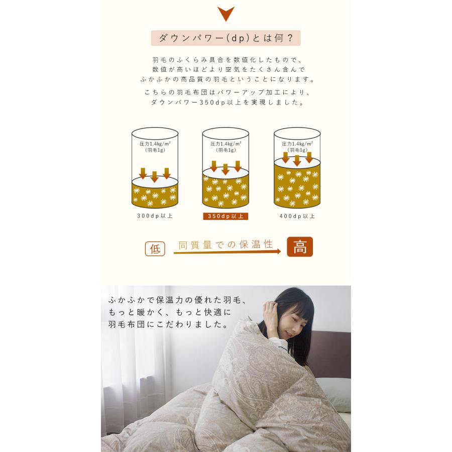 羽毛布団 ダブル 掛け布団 厳選ダウン90% 羽根布団 冬用 羽毛 羽毛布団 ダブル 掛け布団 厳選ダウン90% 羽根布団 冬用 羽毛