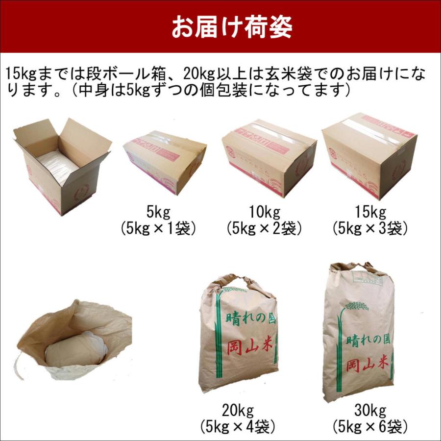 ヒノヒカリ お米 令和7年産 岡山県産 ひのひかり 10kg(5kg×2袋) 米