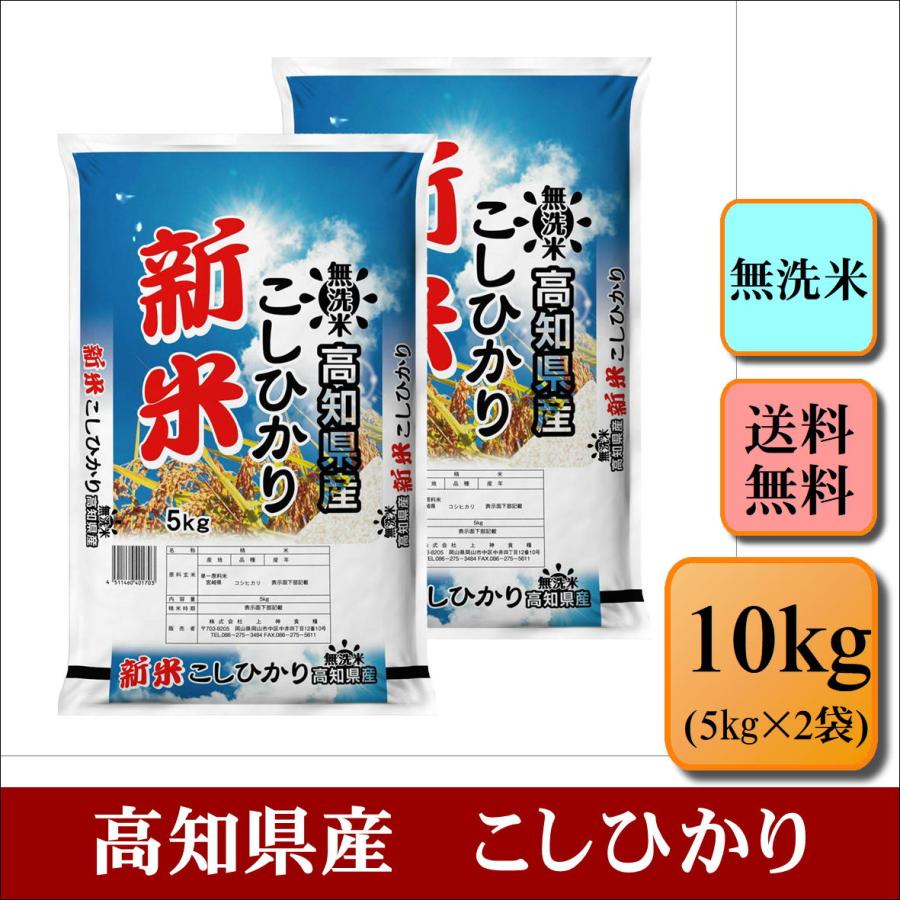コシヒカリ 新米 無洗米 令和6年産 高知県産 こしひかり 10kg コシヒカリ 新米 無洗米 令和6年産 高知県産 こしひかり 10kg