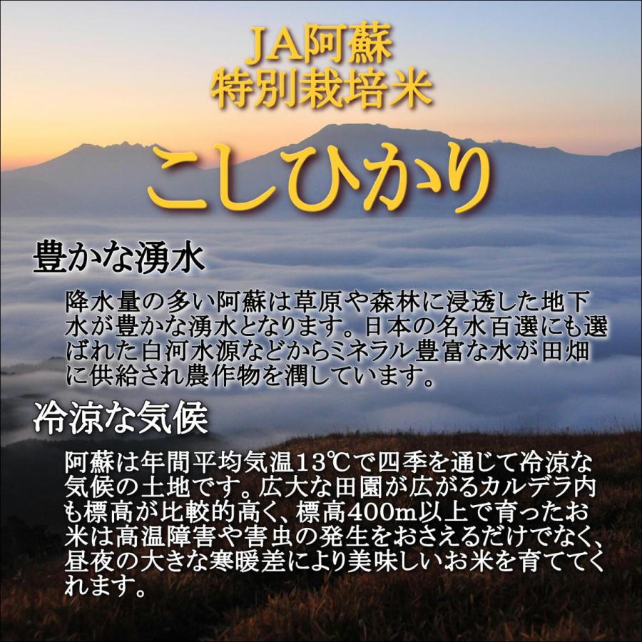 お米　無洗米　令和５年産　ＪＡ阿蘇　特別栽培米こしひかり　10kg(5kg×2袋)　米　おこめ　白米　精米　【無特＿阿蘇こしひかり１０ｋｇ】｜uwagami｜02