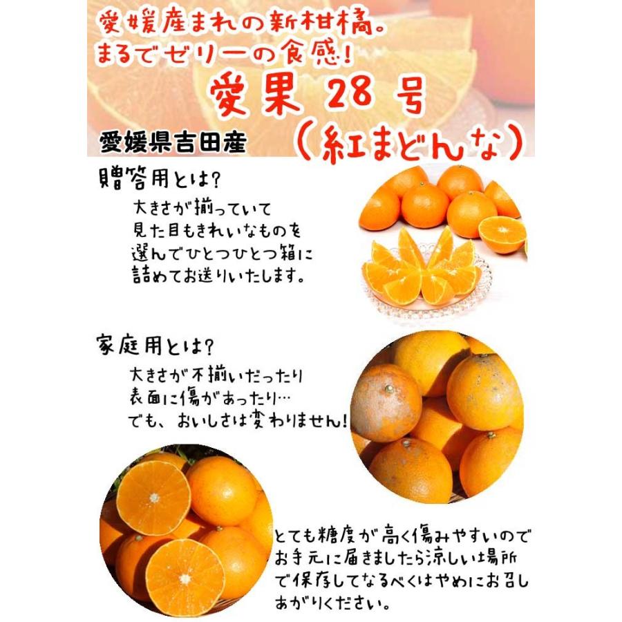 愛果28号 紅まどんな 家庭用 (5kg) サイズフリー 愛媛 吉田産 愛果28号 紅まどんな 家庭用 (5kg) サイズフリー 愛媛 吉田産