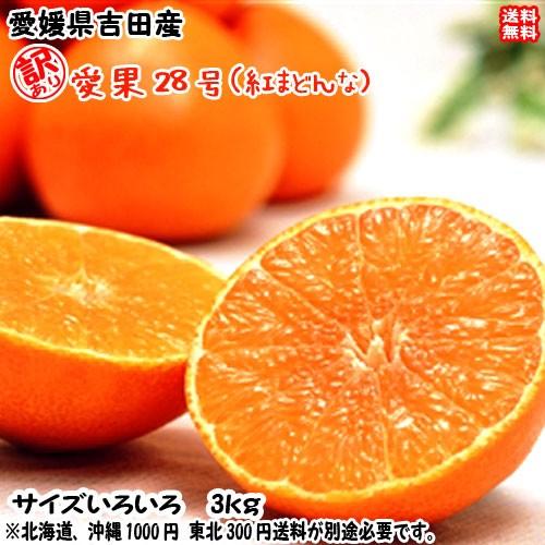 愛果28号 紅まどんな 訳あり （3kg） サイズフリー 愛媛 吉田産 樹に