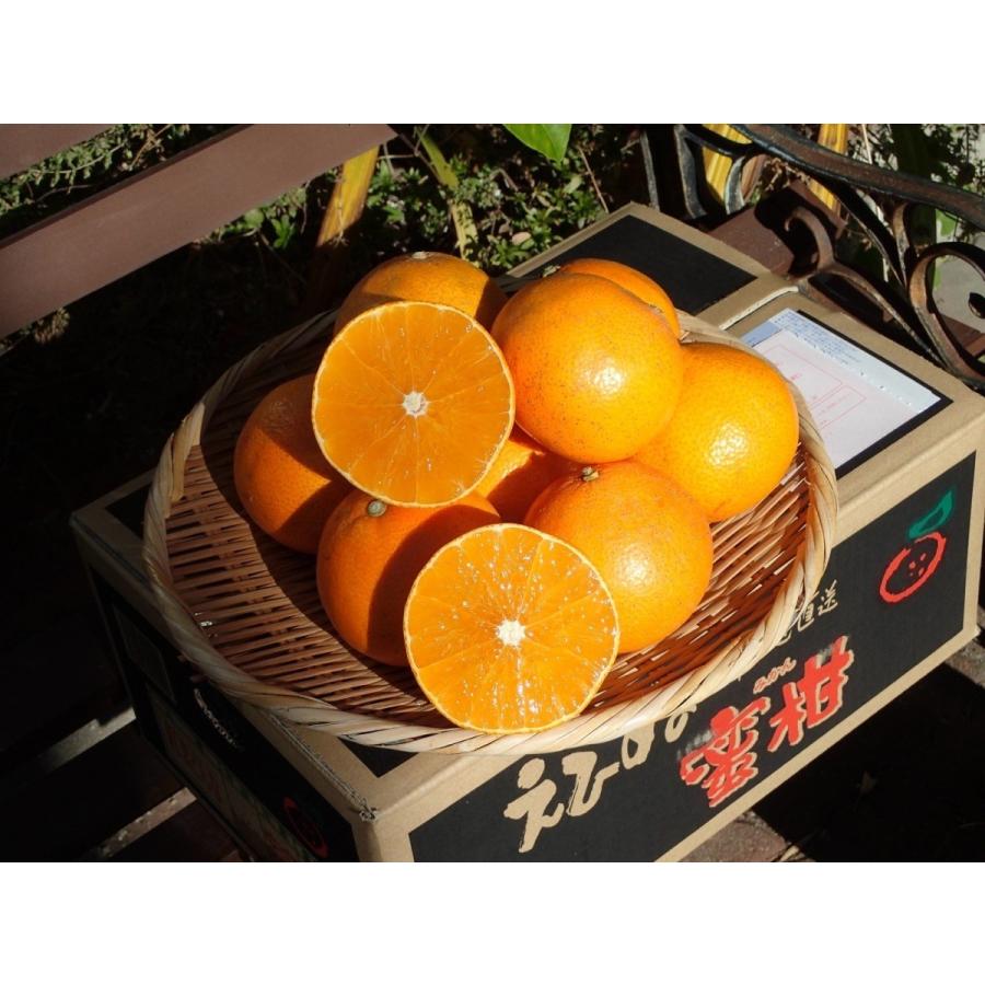 荻ママ　愛果28号　3kg3箱 愛果28号 紅まどんな 訳あり （3kg） サイズフリー 愛媛 吉田産 樹に