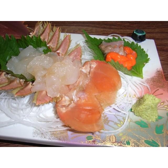 愛媛 活き ウチワエビ 5 10尾 0 9 1kg分 幻の海老 浜から直送 送料無料 宇和海の幸問屋 Iss Ute 1kg 宇和海の幸問屋 通販 Yahoo ショッピング