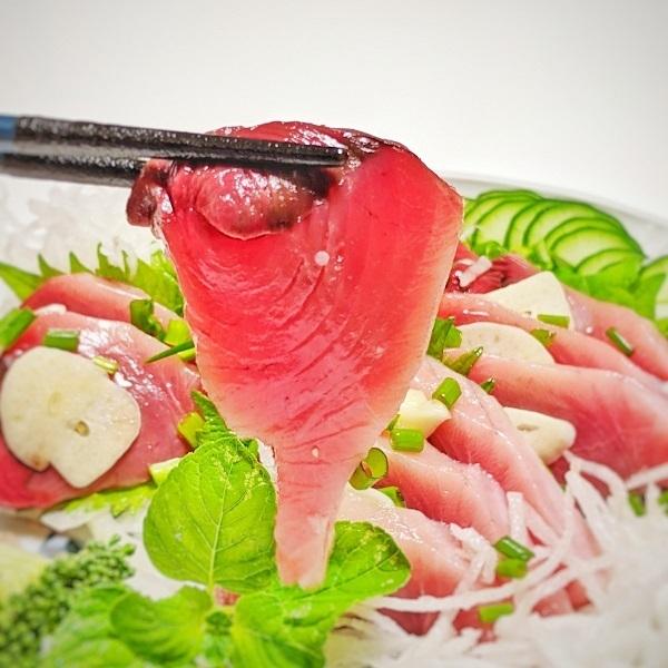 高知沖 天然一本釣り カツオ 6-7kg 浜から直送 送料無料 北海道・沖縄